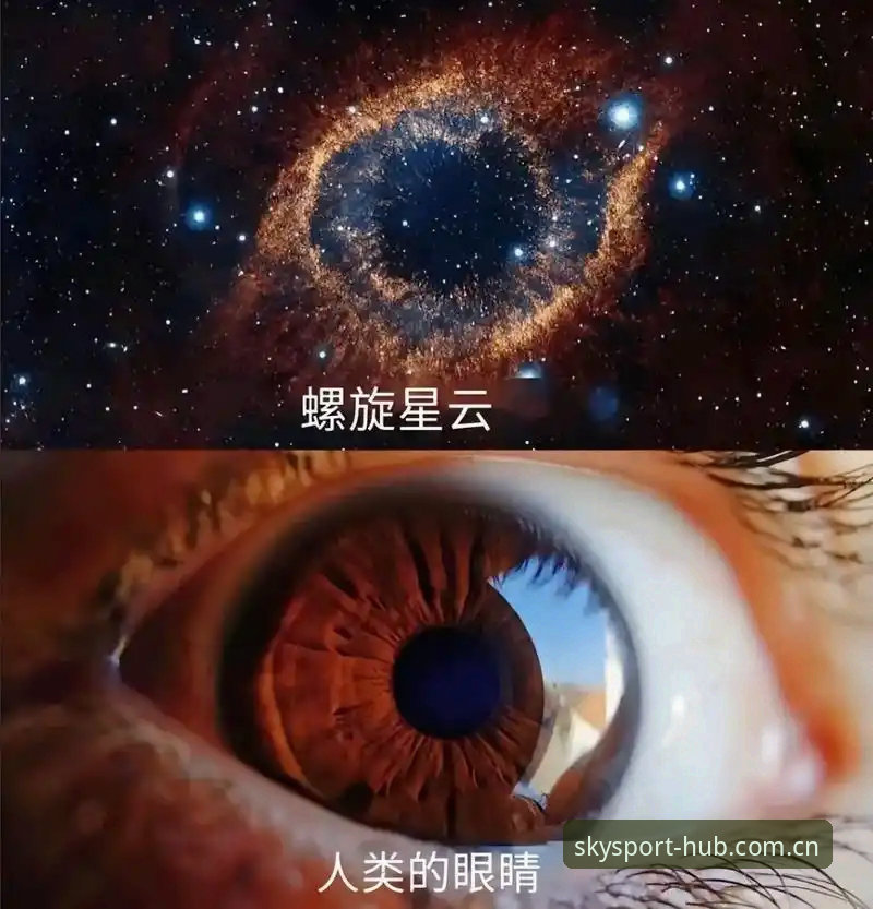 综合体育APP登录教程 星空综合体育2026新版APP登录实操评测:从下载到入场的完整链路